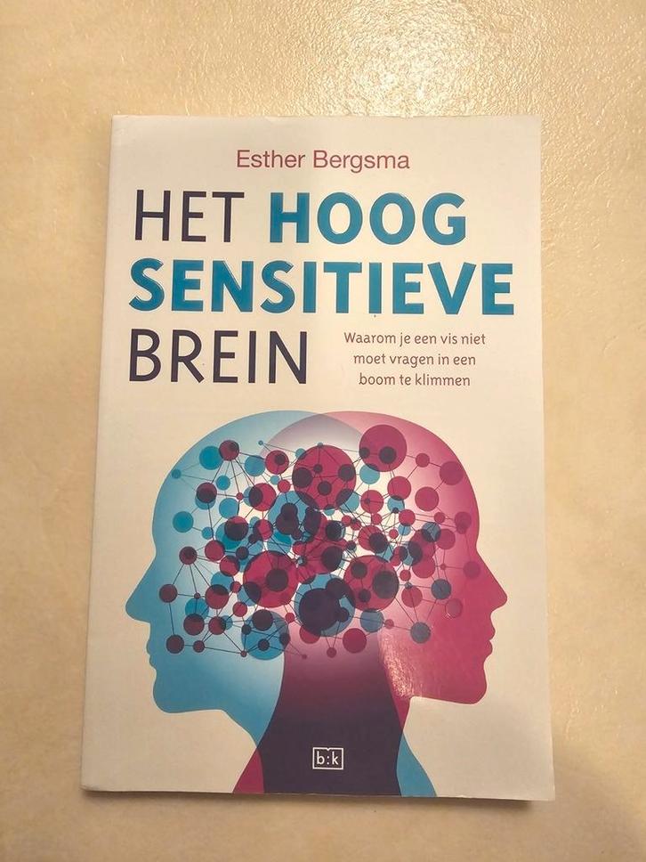 Het hoogsensitieve brein Esther Bergsma, Boeken, Psychologie, Gelezen, Ontwikkelingspsychologie, Ophalen of Verzenden