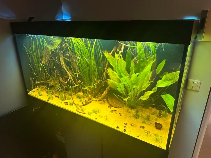 Juwel MultiLux LED lichtbalk 2 x 23 watt 120 cm, Dieren en Toebehoren, Vissen | Aquaria en Toebehoren, Zo goed als nieuw, Verlichting of Verwarming