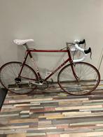 Gazelle Champion Mondial AA-Special (1984) – Reynolds 531, 55 tot 59 cm, Ophalen