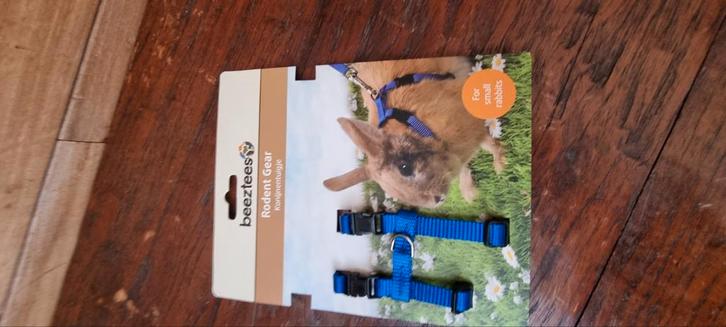 Beeztees Konijnentuigje – Rodent Gear (Blauw), Boeken, Dieren en Huisdieren, Zo goed als nieuw, Honden, Ophalen of Verzenden