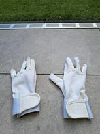 Wedstrijd handschoenen paardrijden, Dieren en Toebehoren, Paardrijkleding, Ophalen of Verzenden, Zo goed als nieuw, Dressuur, Overige typen