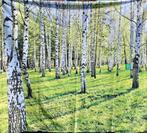 Berkenbos wanddoek of decorstuk 2,60x2,80m, Ophalen, Zo goed als nieuw, Schilderij, Minder dan 50 cm