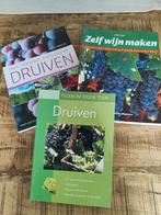 Druiven en wijn maken, Tuin en Terras, Planten | Tuinplanten, Ophalen of Verzenden, Overige soorten, Volle zon