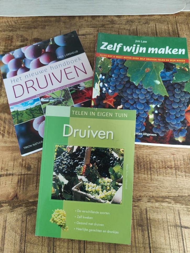Druiven en wijn maken, Tuin en Terras, Planten | Tuinplanten, Overige soorten, Volle zon, Ophalen of Verzenden