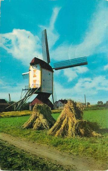 (388-445-015) Baexem L Standaard Korenmolen beschikbaar voor biedingen