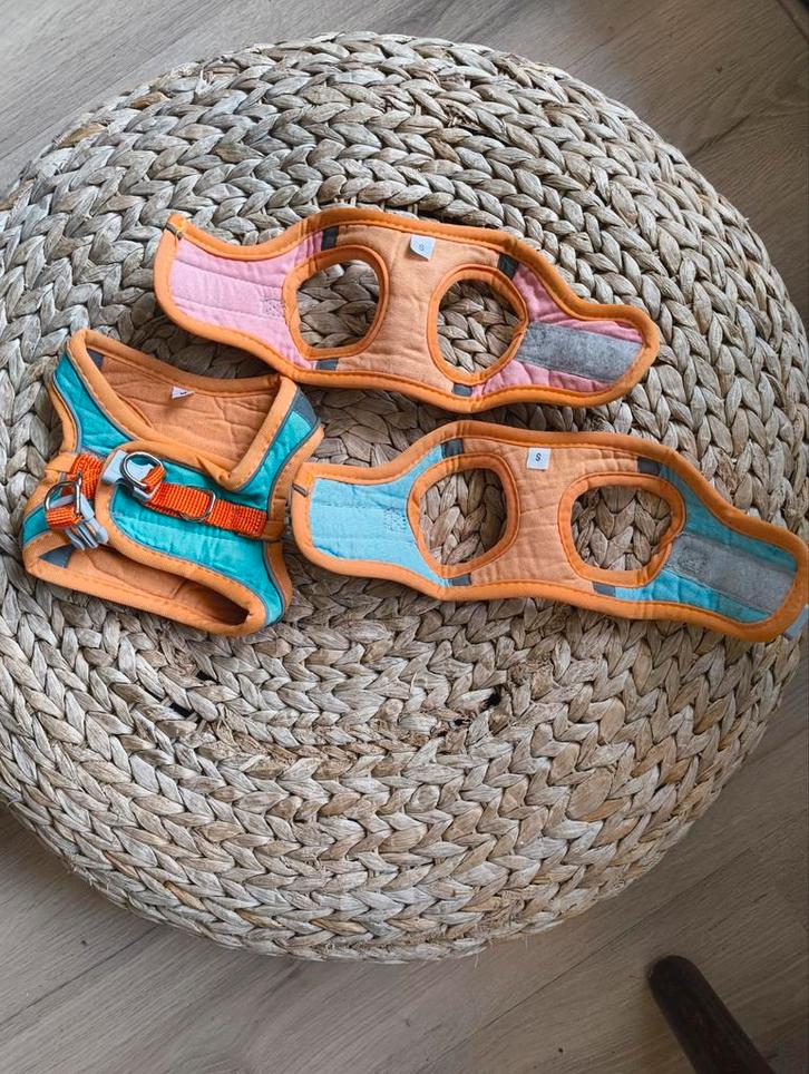 Kitten/small dog harnesses, Dieren en Toebehoren, Hondenmanden, Ophalen of Verzenden