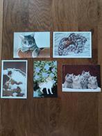 5 ansichtkaarten met katten - poezen (2)., Ophalen of Verzenden, Ongelopen, Hond of Kat