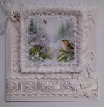 Winterse kaart met roodborstje, Ophalen of Verzenden, Zo goed als nieuw, Overige thema's