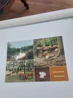 APELDOORN  BERG  EN BOS, Verzamelen, Ansichtkaarten | Nederland, Ophalen of Verzenden, 1940 tot 1960, Gelderland