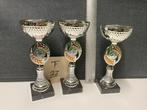 Trofeeën/wedstrijdbekers/sportprijzen/bokalen (set 27), Sport en Fitness, Ophalen of Verzenden, Gebruikt