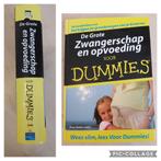 Boek Zwangerschao en opvoeding voor Dummies, Ophalen, Nieuw