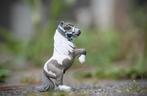 Schleich repaint shetland hengst, Ophalen of Verzenden