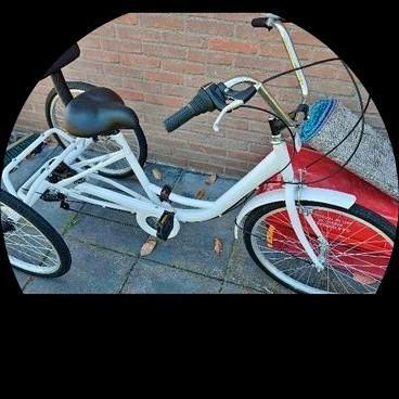 driewielfiets met rugsteun, Fietsen en Brommers, Fietsen | Driewielfietsen, Gebruikt, Ophalen