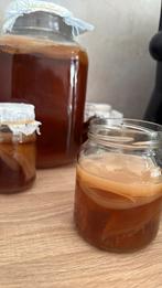 Biologische Kombucha Scoby Zwam, Diversen, Ophalen