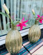 Te koop 2 hele mooie, grote en groene glazen vazen . €50., Ophalen of Verzenden, Minder dan 50 cm, Groen, Glas