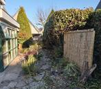 Gratis, Tuin en Terras, Planten | Bomen, Ophalen of Verzenden, Volle zon, Overige soorten, Minder dan 100 cm
