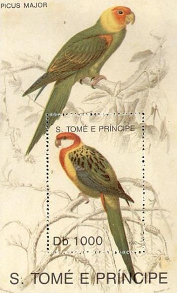 SINT THOMAS 20 - Dieren: vogels (prachtrosella) beschikbaar voor biedingen