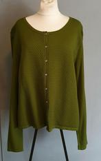 Claudia Strater vest, Ophalen of Verzenden, Zo goed als nieuw, Maat 42/44 (L), Groen