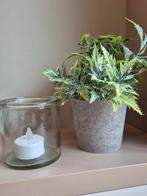 Kerst setje, Ophalen of Verzenden, Zo goed als nieuw