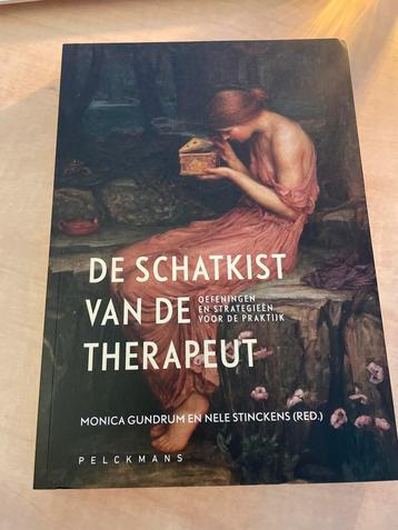 De Schatkist van de Therapeut - Praktijkgids beschikbaar voor biedingen
