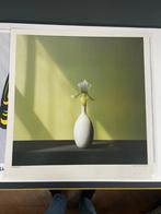 Fotolitho Robert Mapplethorpe, Ophalen of Verzenden