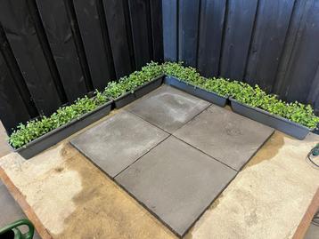 NIEUWE BETON TEGELS! Smartton 60x60x4 Mount everest 23,04,m2 beschikbaar voor biedingen