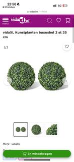 2 kunst buxusbollen (nieuw in doos), Ophalen of Verzenden, Nieuw