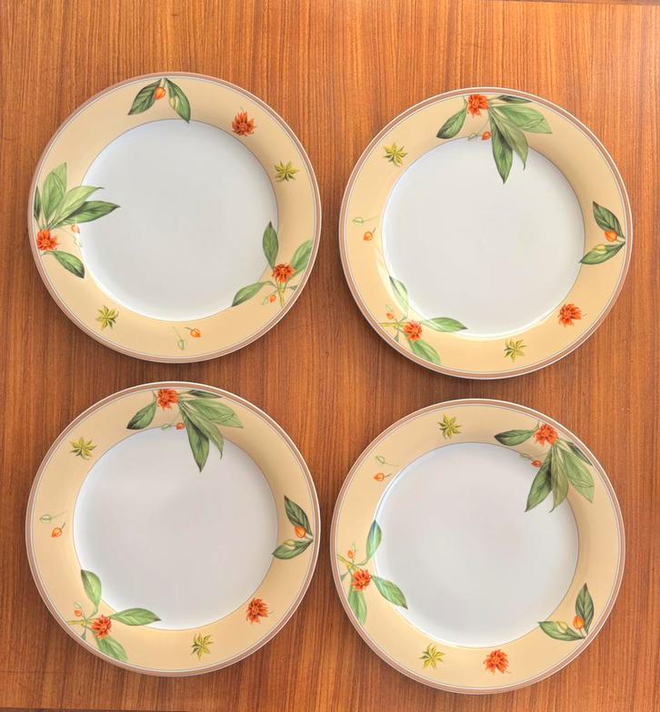 Italiaanse platte borden (4) van Richard Ginori di Laveno, Huis en Inrichting, Keuken | Servies, Zo goed als nieuw, Bord(en), Overige stijlen