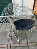 Originele Bertoia Chair Diamond, Ophalen, Gebruikt, Metaal, Eén