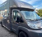 Paardenwagen Fiat Ducato, Zeer mooi en kompleet., Ophalen of Verzenden, Gebruikt, Aluminium, 2-paards trailer