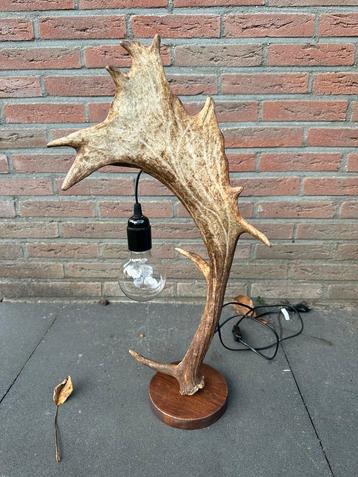 Geweilamp.schemerlamp.geweien.edelhert.damhert.tafellamp. beschikbaar voor biedingen