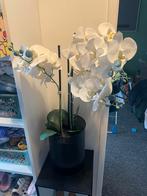 Orchidee kunst, Ophalen, Zo goed als nieuw