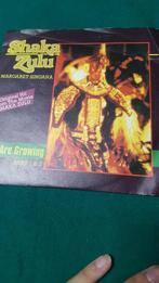single shaka zulu, we are growing, Cd's en Dvd's, Vinyl Singles, Ophalen of Verzenden