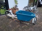 Dolly bakfiets 8v nette staat, Ophalen, Zo goed als nieuw