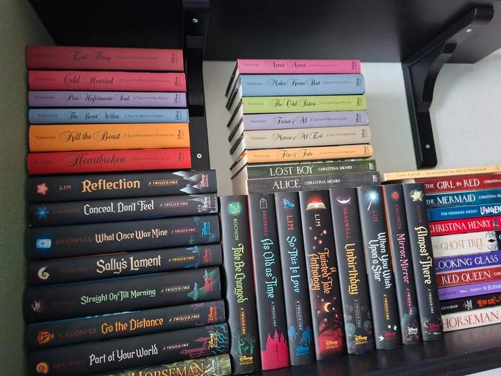 Boeken, Boeken, Fantasy, Zo goed als nieuw, Ophalen of Verzenden