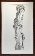 563. Ets, Reinder Homan – knoestige boomstam, 1979, Ophalen of Verzenden