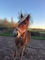 Mooie lieve ruin, Ruin, 3 tot 6 jaar