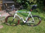 Strakke Pinarello 61 cm carbonfiets, 28 inch, Gebruikt, Carbon, 57 tot 61 cm