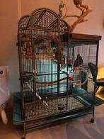 Prachtige Keddoc papegaaienkooi in nieuwstaat!, Ophalen, Zo goed als nieuw, Metaal, Vogelkooi