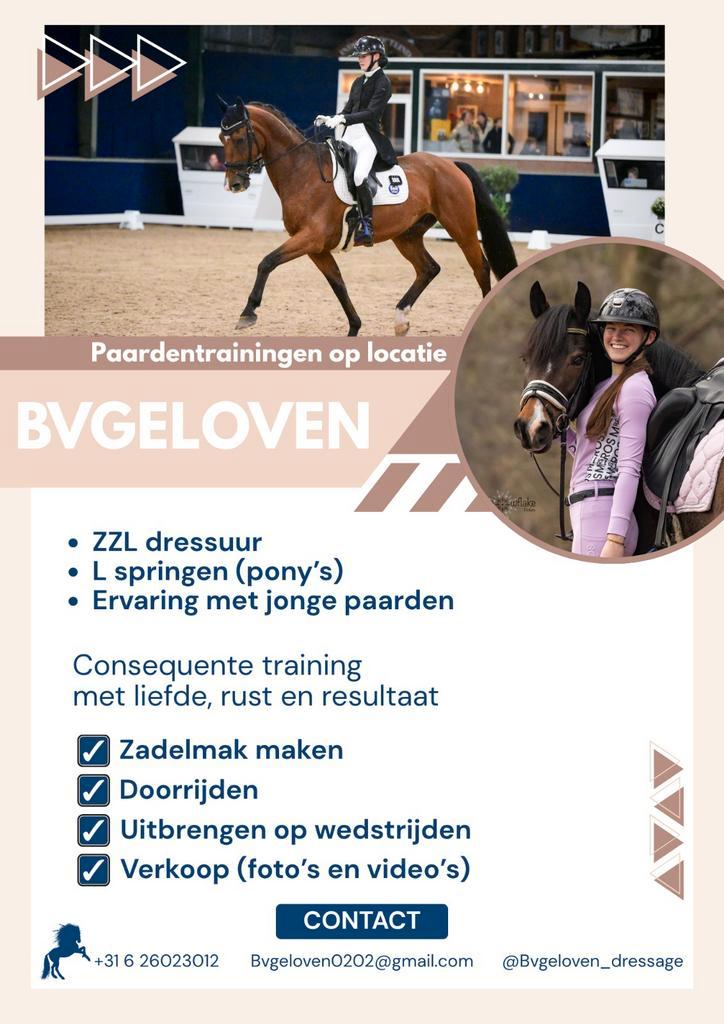 Zadelmak maken/Doorrijden/Uitbrengen/Verkoop (foto’s/video’s, Dieren en Toebehoren, Paarden en Pony's | Overige Paardenspullen