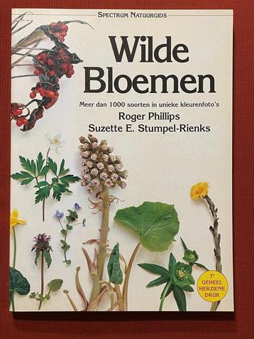 Wilde bloemen - Roger Phillips beschikbaar voor biedingen