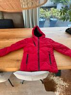 Dames winterjas (nieuw), Kleding | Dames, Ophalen of Verzenden, Nieuw, Maat 36 (S), Jack