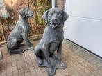 Labrador Retriever 85cm hoog en meer honden, Tuin en Terras, Tuinbeelden, Ophalen, Nieuw, Beton, Dierenbeeld