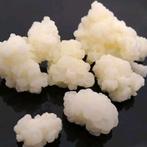 Gratis melkkefir korrels, Ophalen