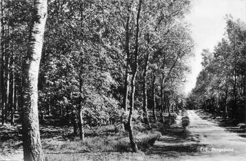 (387-151-011) Epe Bosgezicht beschikbaar voor biedingen