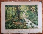 Schoolplaat "In het oerwoud", Antiek en Kunst, Antiek | Schoolplaten, Ophalen, Geschiedenis