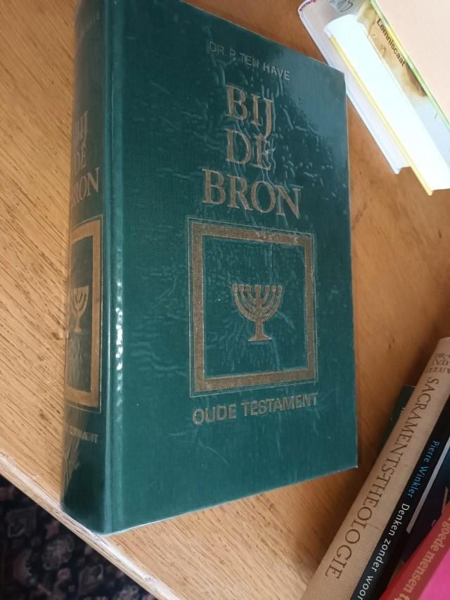Have, Dr. P. ten Have - Bij de bron / OT, Boeken, Godsdienst en Theologie, Gelezen, Christendom | Protestants, Ophalen of Verzenden