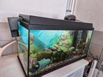 Aquarium volledig en compleet / 80x45x35 cm / 125 liter, Dieren en Toebehoren, Vissen | Aquaria en Toebehoren, Ophalen, Zo goed als nieuw