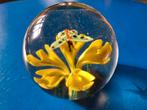 Vintage presse papier paper weight bloem vlinder geel, Ophalen of Verzenden