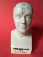 Buste Phrenologie door L.N. Fowler gebieden in de hersenen, Antiek en Kunst, Ophalen of Verzenden
